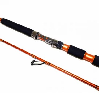Спининг Въдица PRO FL FLX River- 2.40m, 70-350 g