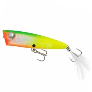 DUEL 3D QW Popper 65F 65mm 7g BTCL 