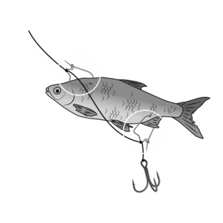 Куки BLACK CAT Cat Hooker DG