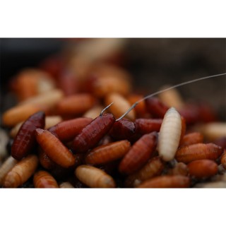 Куки KORDA Kontinental