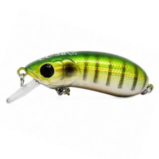 Last Cast CC38 #18 38mm 2.5g