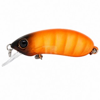 Last Cast CC38 #31 38mm 2.5g