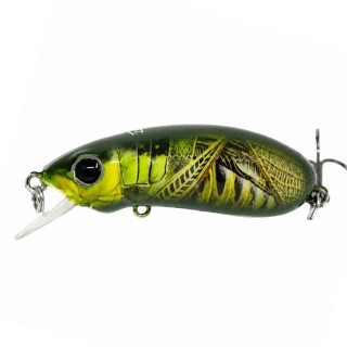 Last Cast CC38 #32 38mm 2.5g