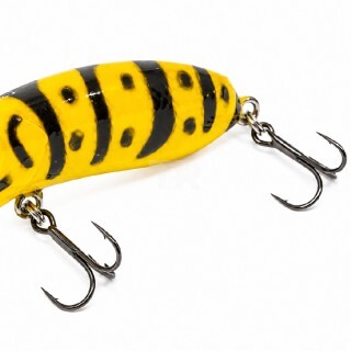 Last Cast CC38 S #09