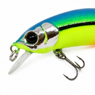 Last Cast CC38 S #20