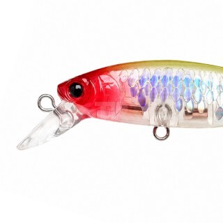 Lucky Craft Pointer 65 SP MS Crown