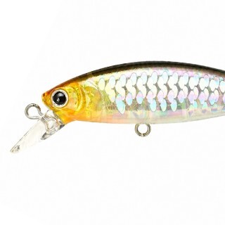Lucky Craft Pointer 65 SP MS Impuls Shad