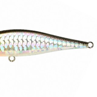 Lucky Craft Pointer 65 SP MS Impuls Shad