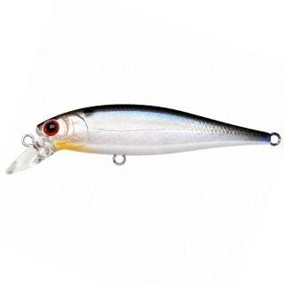 Lucky Craft Pointer 65 SP Pearl Threadfin Shad