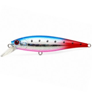 Lucky Craft Pointer 78 Short Bill SP Blue Pink Sardine RT (Red Tail)