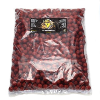 Протеинови топчета TS fishing BOILIES GROUNDBAIT, Strawberry 20mm  