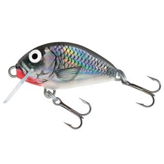 Воблер Salmo Image Tiny 3 Sinking 3 cm 2.5 g Holographic Grey Shiner