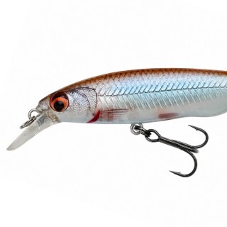 Savage Gear Gravity Twitch SR 6.7cm 6g Suspending Roach