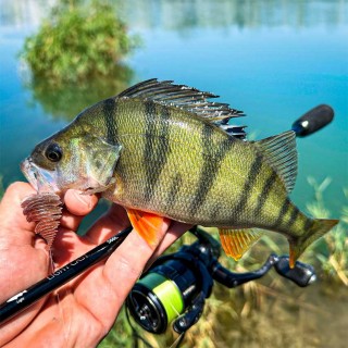 Спининг Въдица LAST CAST Light Cast S66L 1.98m, 1.5-12 g