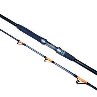 Въдица FL CatFish Passion Pro- 2.40m, 300-600 g