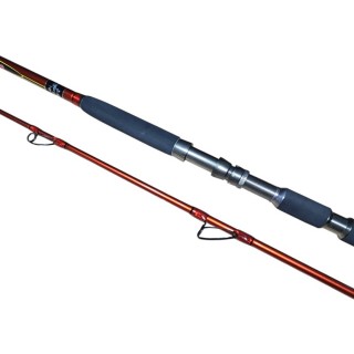 Въдица за риболов на дъно PRO FL FLX River- 3.00m, 70-350 g