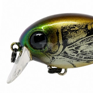 ZipBaits Hickory SSR #270