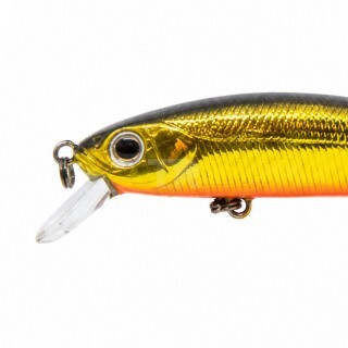 ZipBaits Orbit 65 Slider SR #050